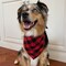 Wrapables Christmas Pet Triangle Bandana, Bib Scarves For Cats and Dogs (Set of 2), Large, Buffalo Plaid
